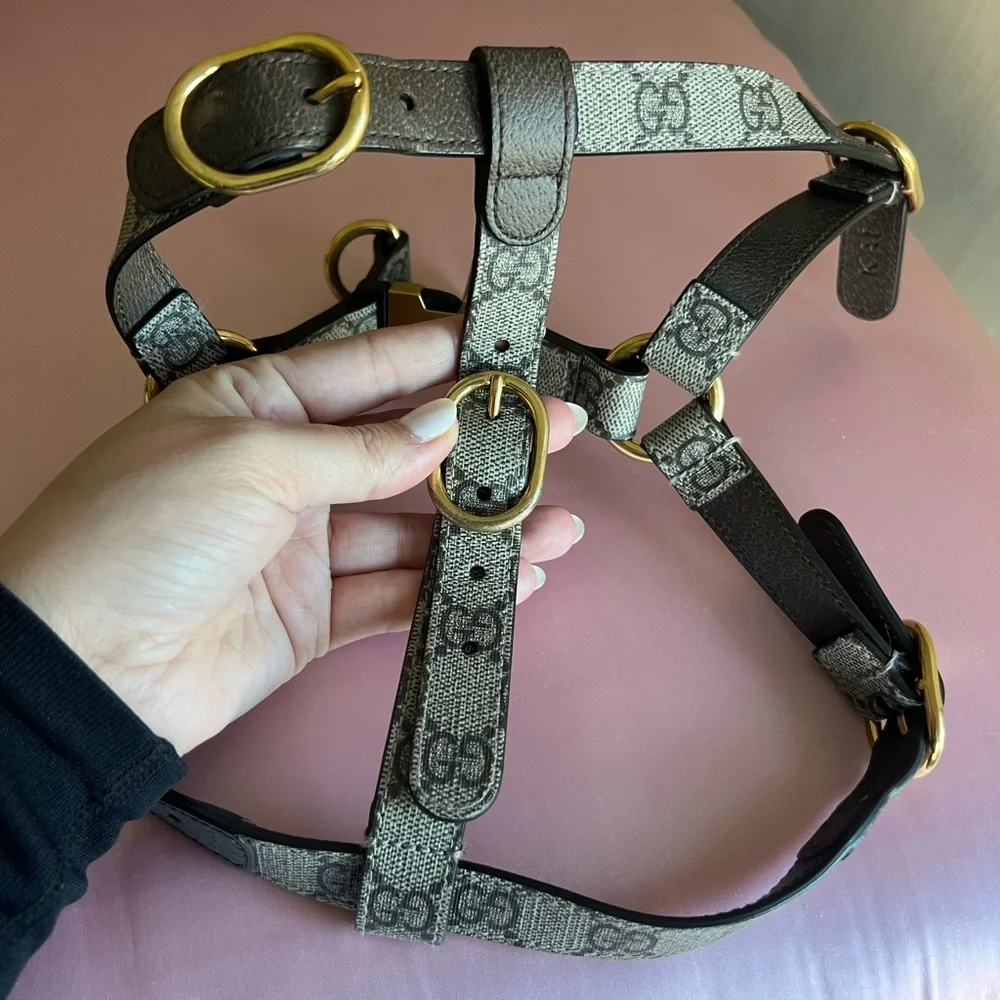 Gucci Dog Harness